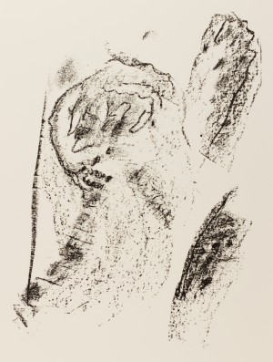 Hors de la colline. Version française avec la collaboration de Michel Deguy et Jacques Dupin. Postface de Maurice Blnchot. Quinze lithographies originales de Henri Michaux